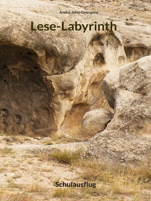 cover image of Lese-Labyrinth